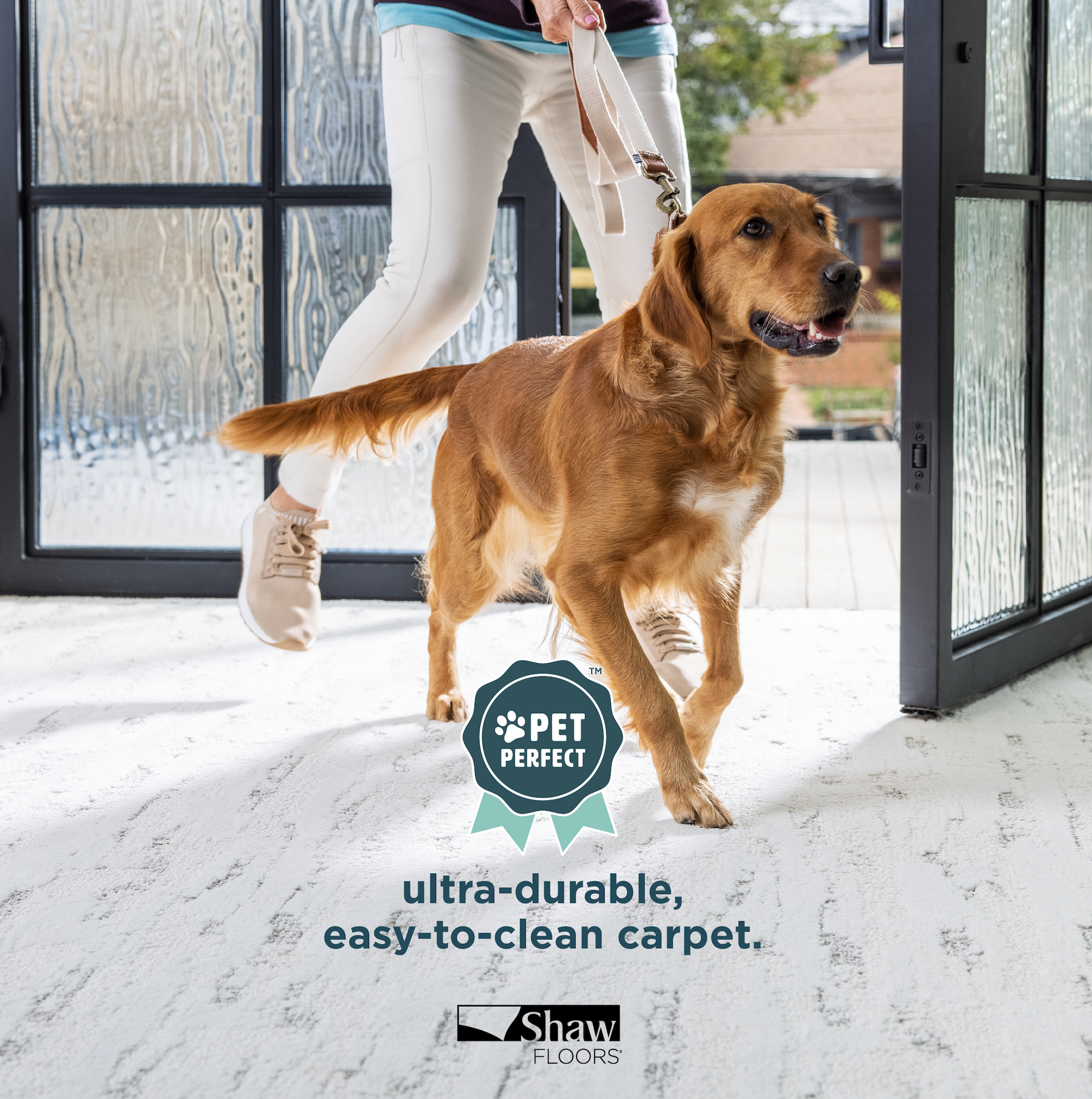 A dog walking on carpet, Floors by Recon