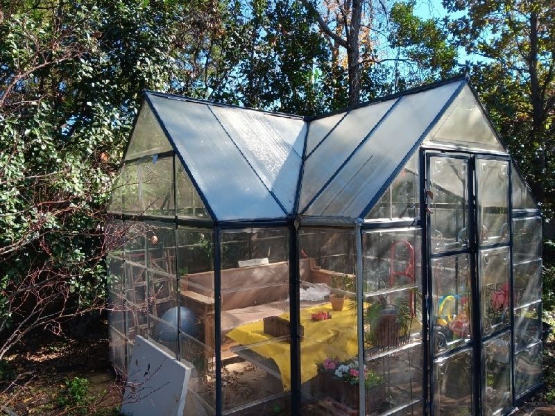A greenhouse with a table inside of it is surrounded by trees.