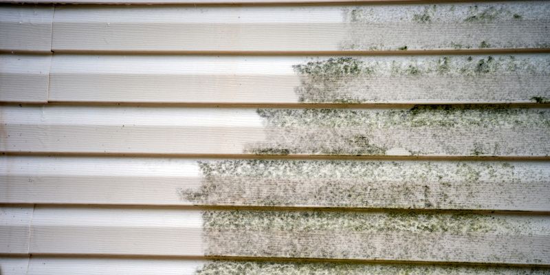 A close up of a white siding with green mold growing on it.