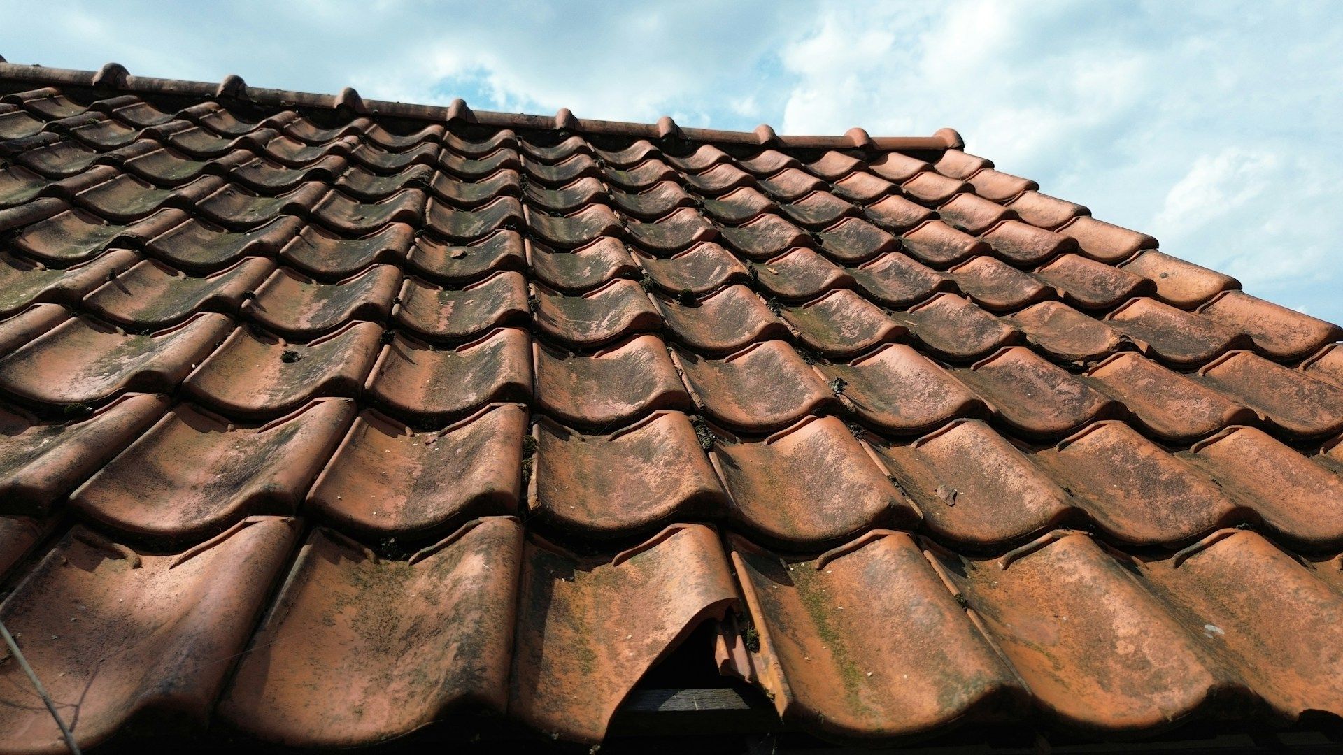 Roofs Black Streaks