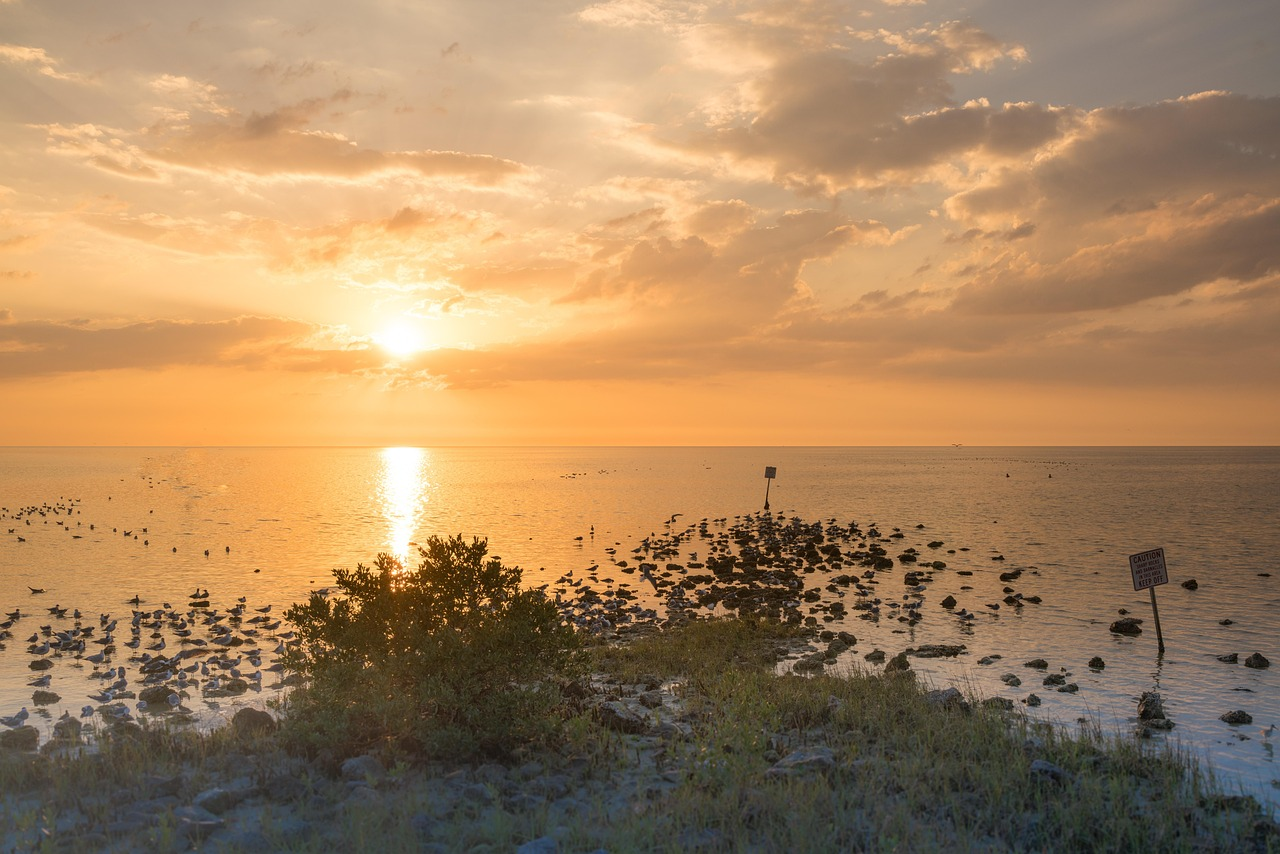 junk-removal-pine-island-fl