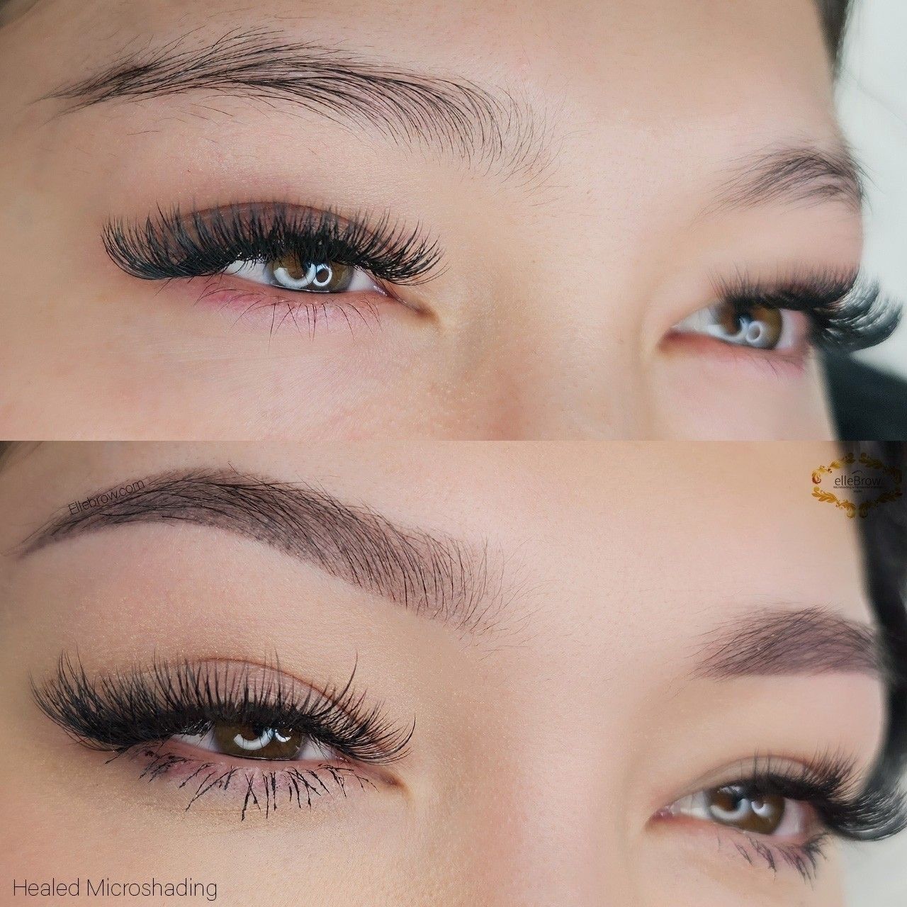 Healed Powder Brows
