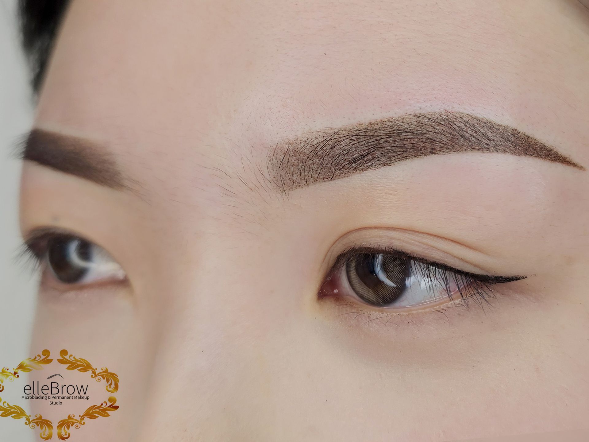Before and After Eyebrow Powder Brow Styling by Ellebrow Microshading NYC