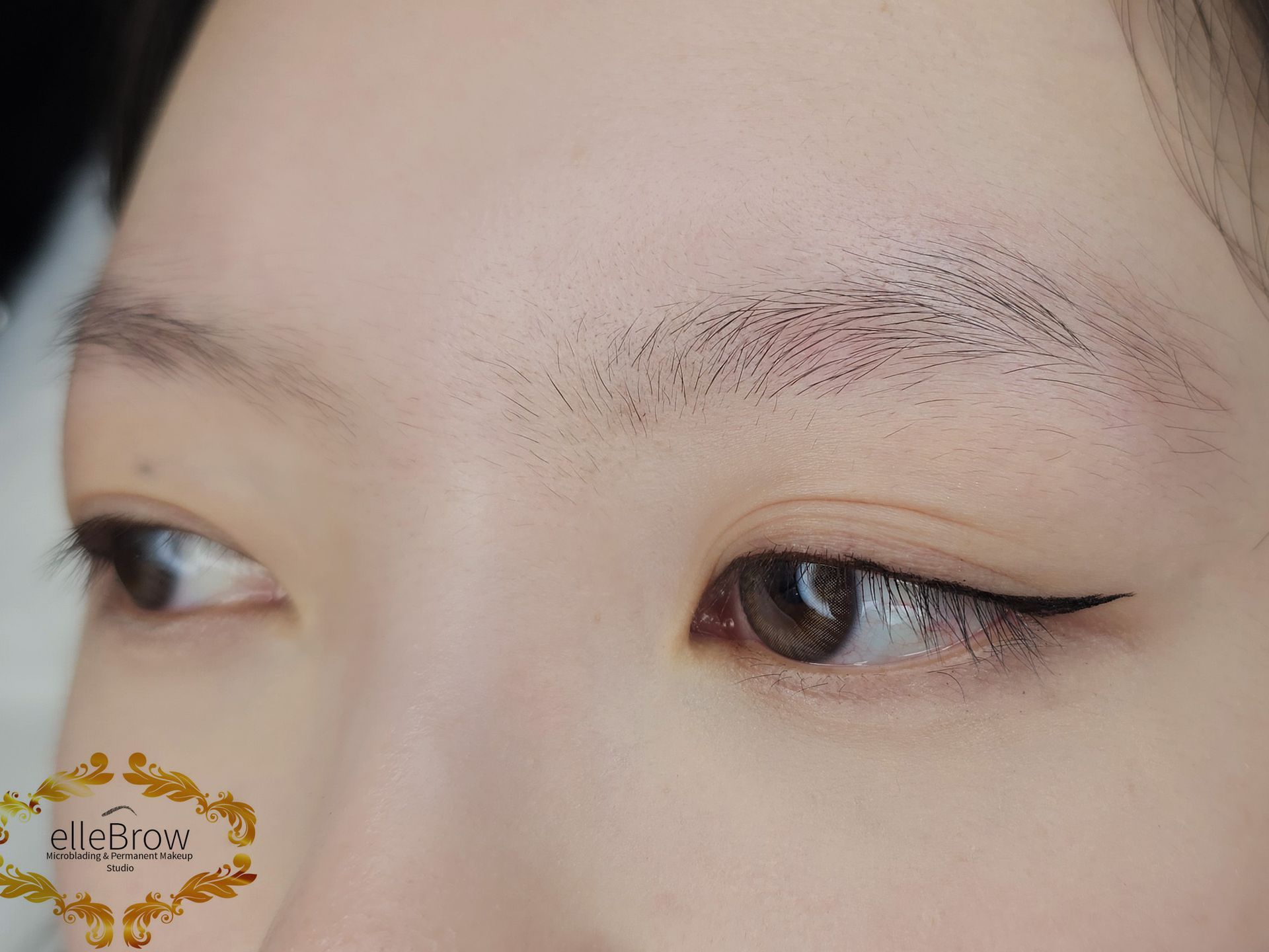 Before and After Powder Brow Styling