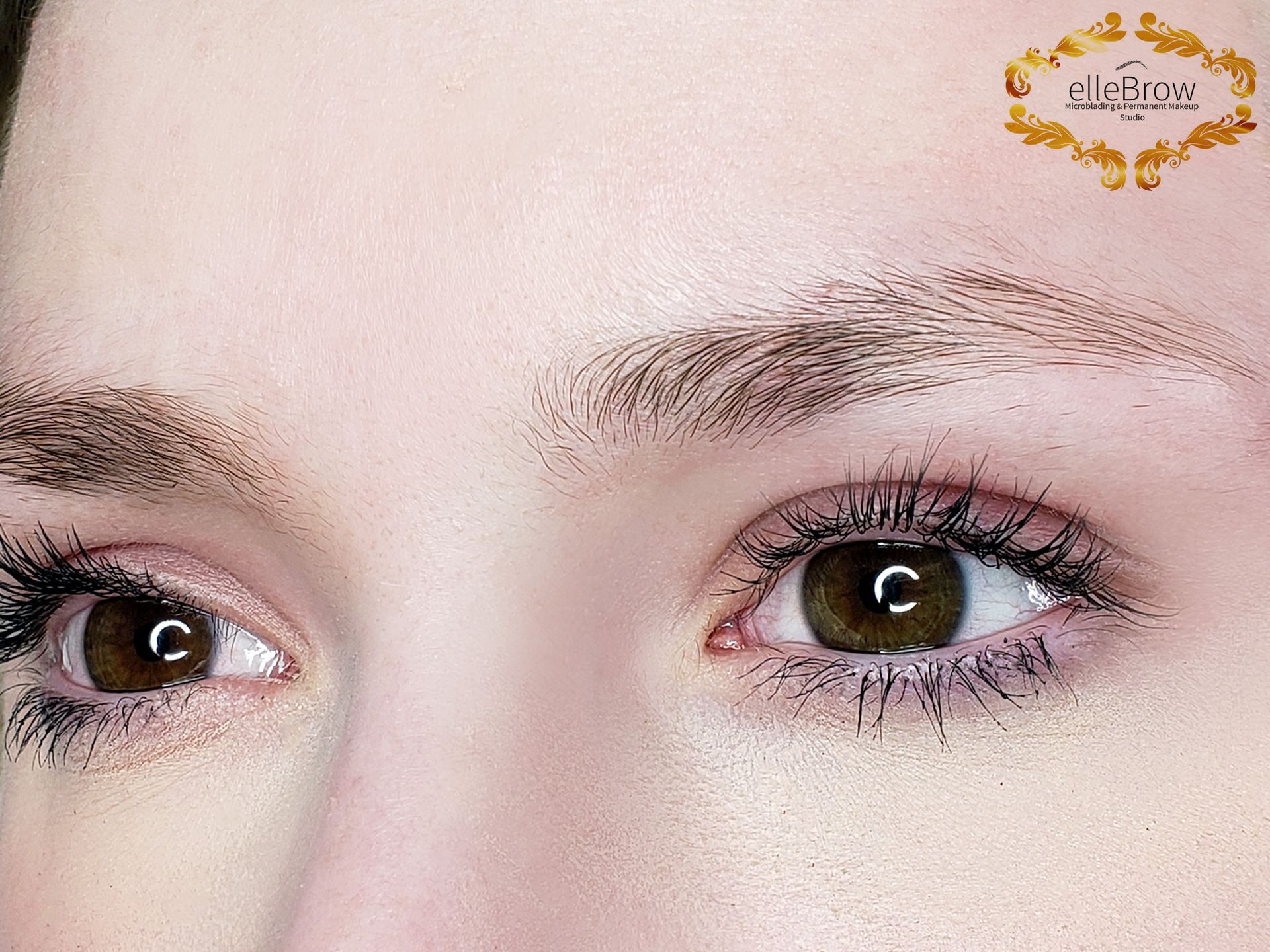 Microblading NYC Top Eyebrow Permanent Makeup New York Brow Specialists