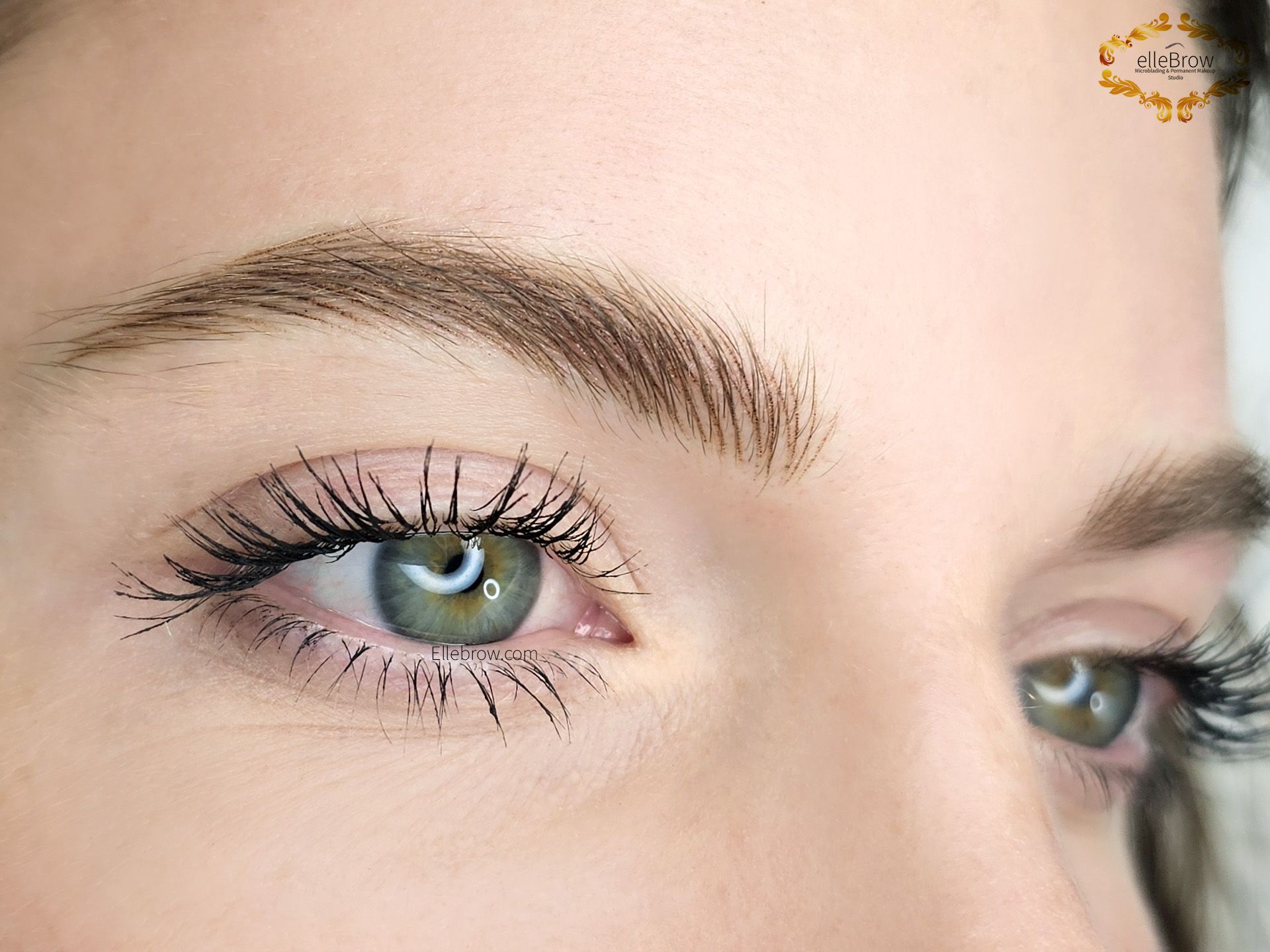 Close-up of a person's eye and eyebrow; green eye, long eyelashes, light brown eyebrow, white background.