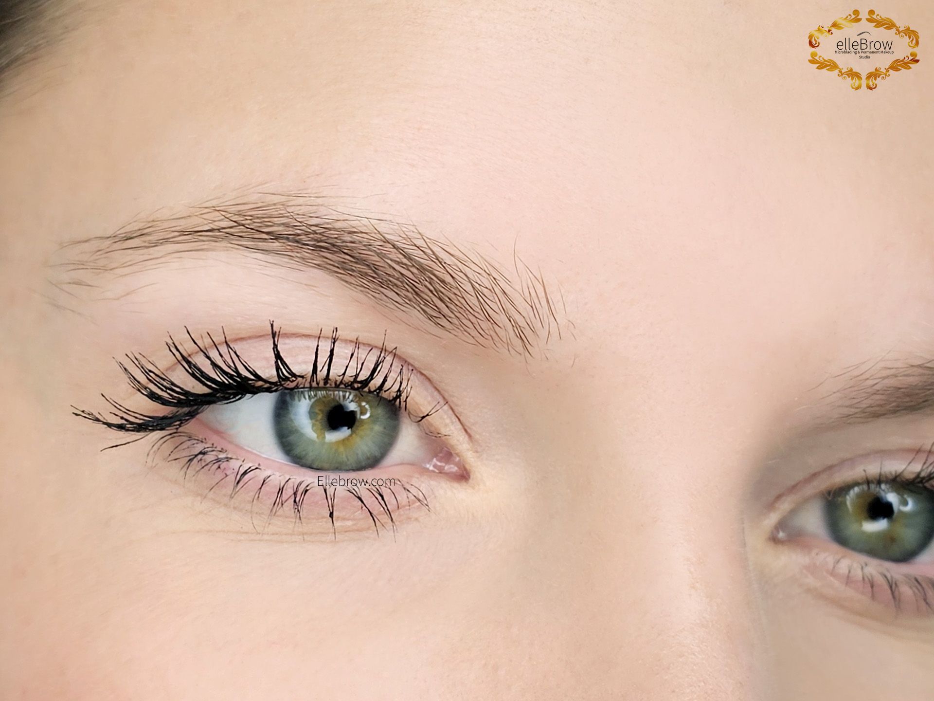 Close-up of eyes with long, black lashes; green iris, light skin, and groomed eyebrows.