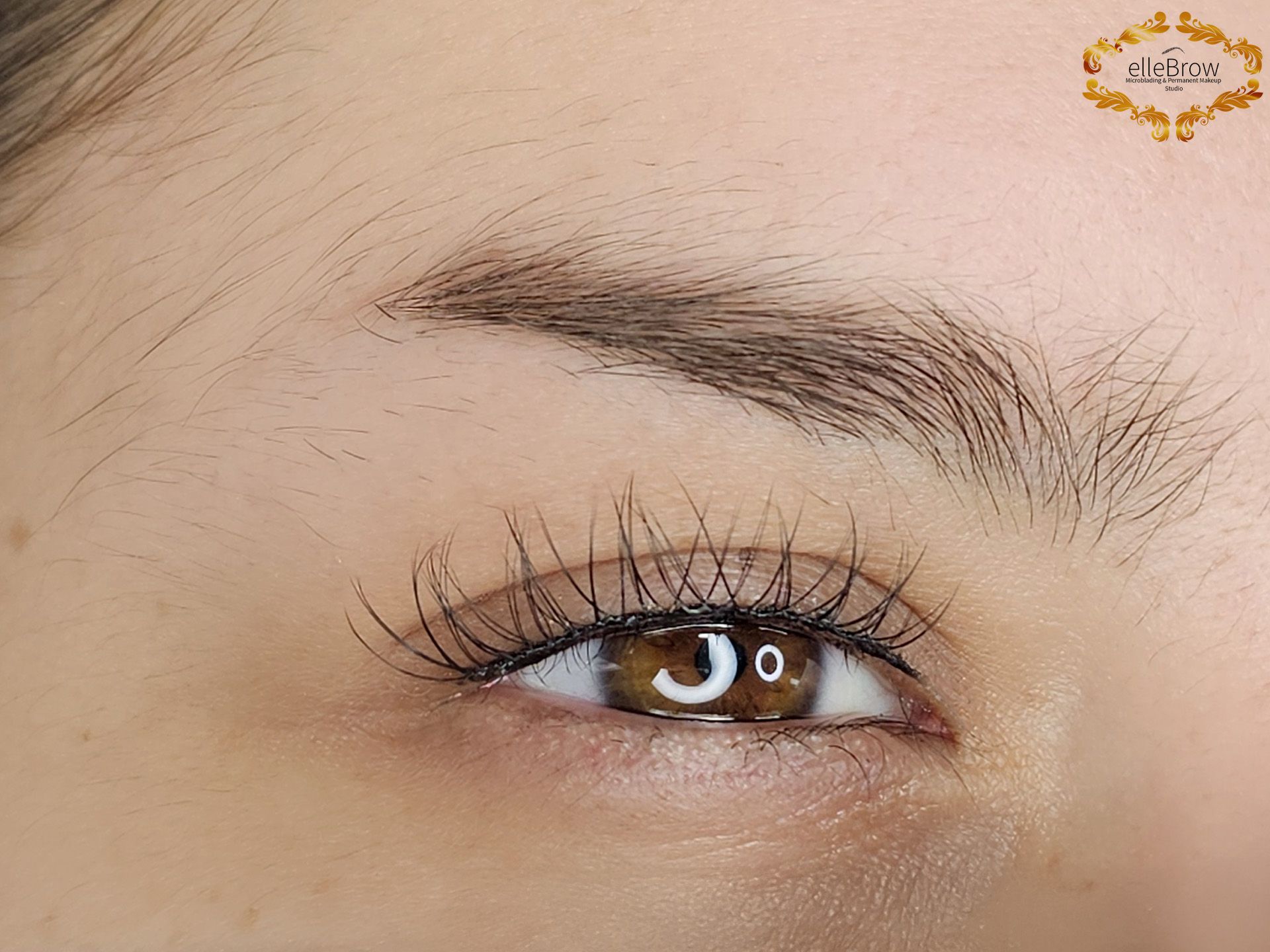 Close-up of a person's eye with dark eyelashes and a groomed eyebrow. The eye is brown.