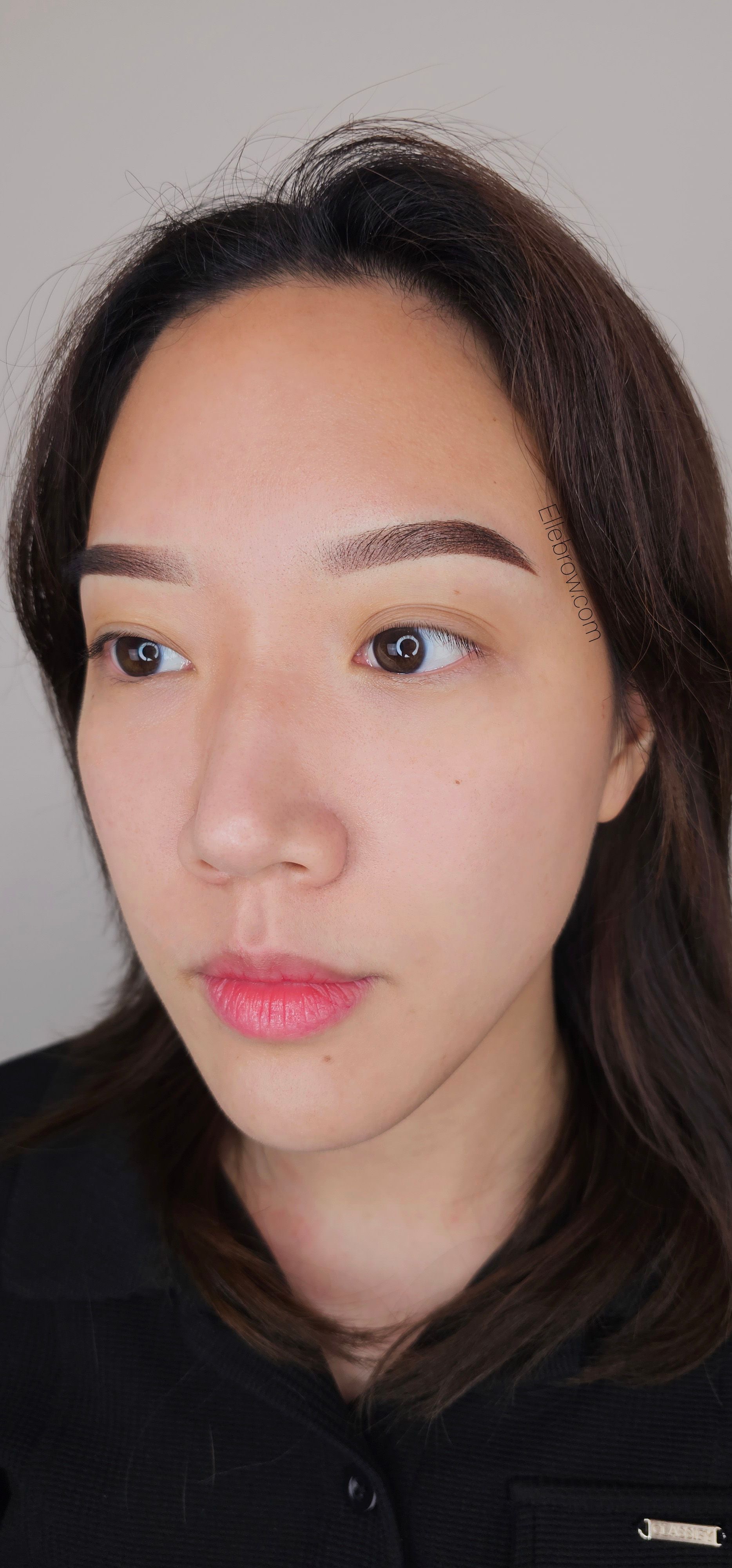 Ombre Powder Brows Before and After - Ellebrow NYC