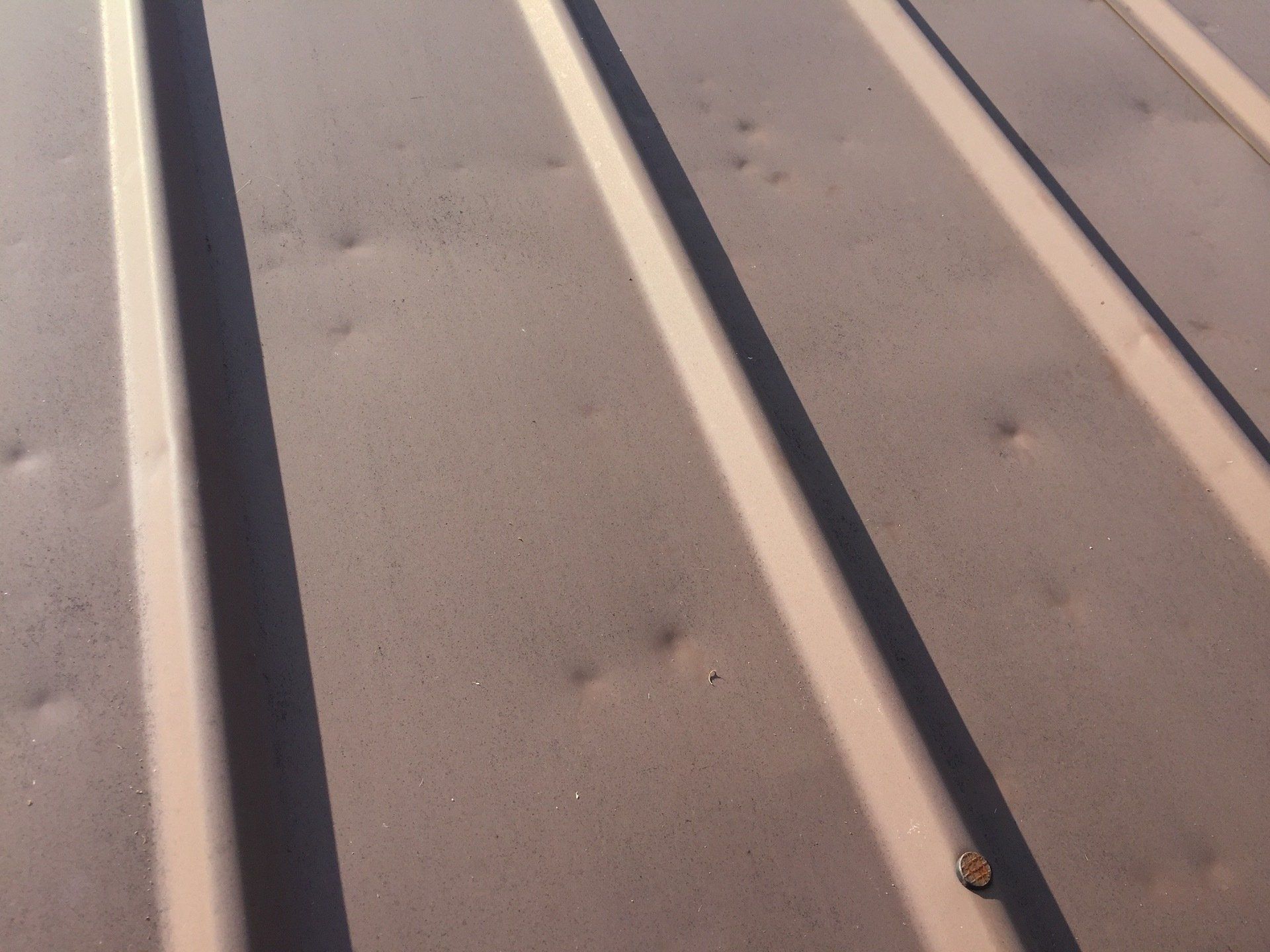 Services Birdcreek Roofing Metal Roofing