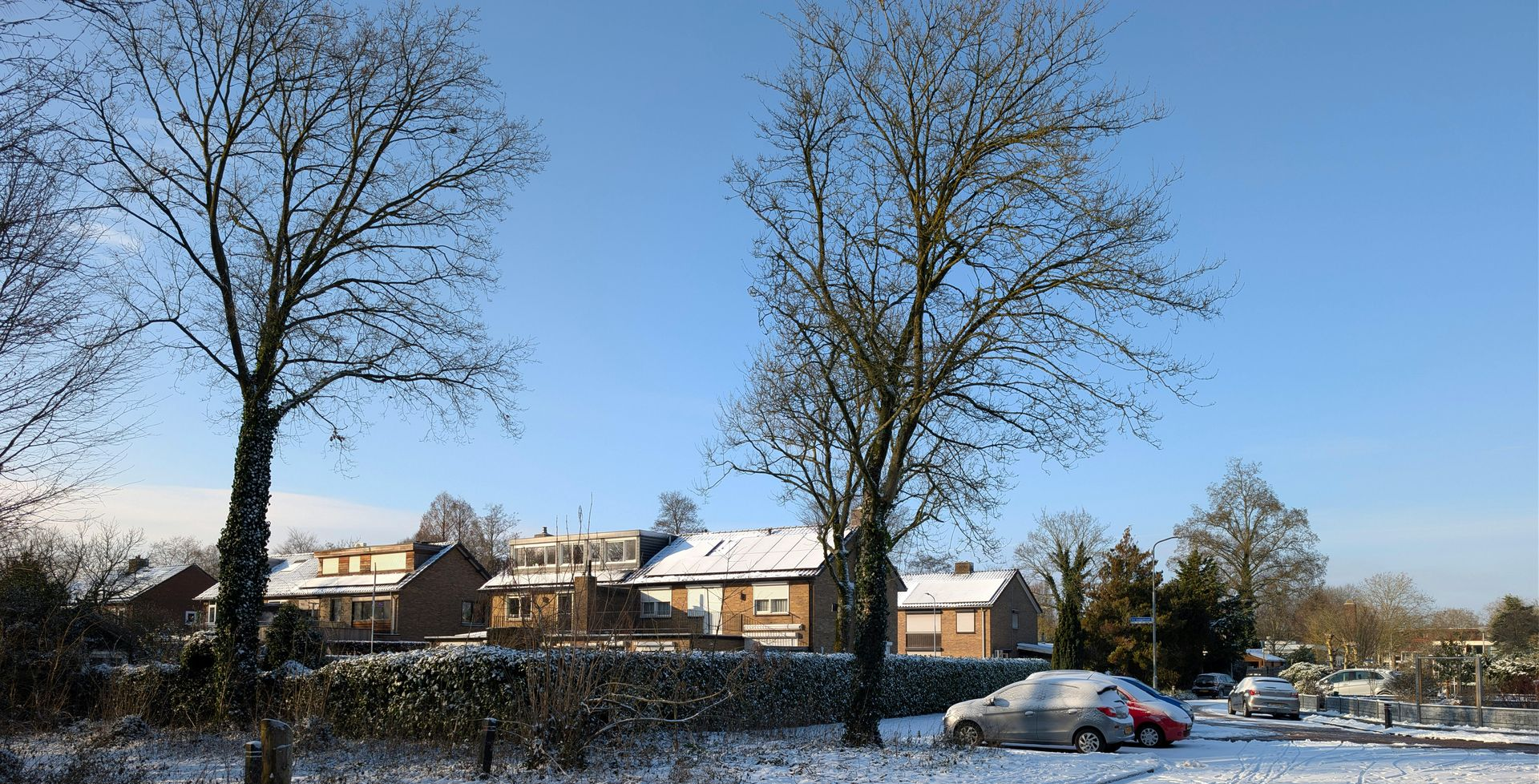Snow-covered residential street with trees and buildings under a clear, blue sky.