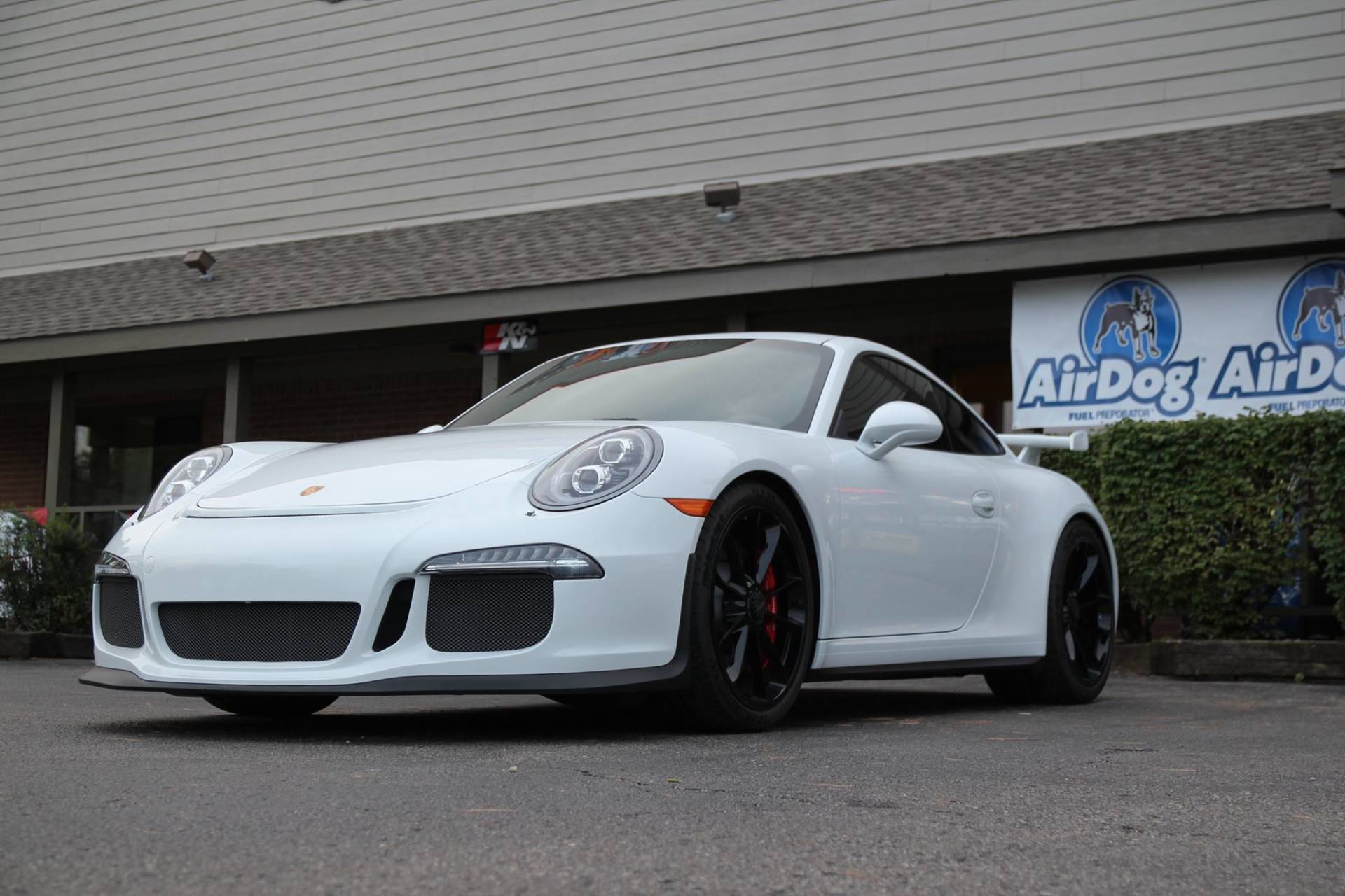 car paint protection near me