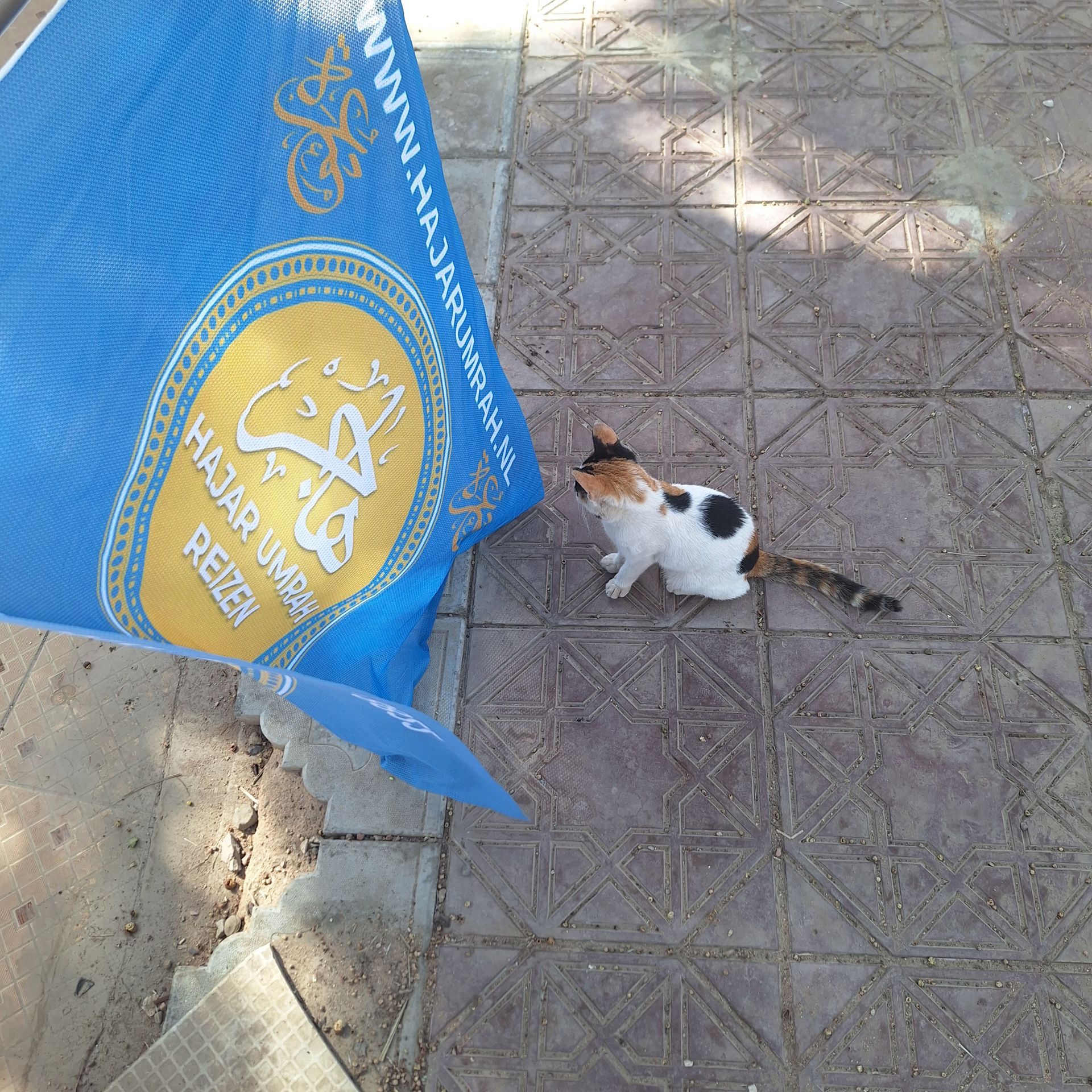 Een kat zit naast een blauwe vlag met de tekst hajar ul-reis