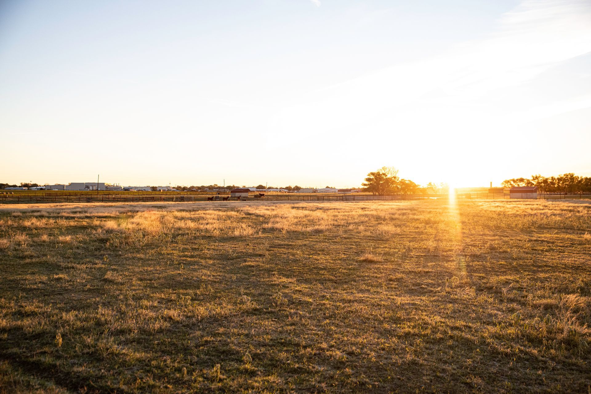 the sun is setting over a dry grass field .