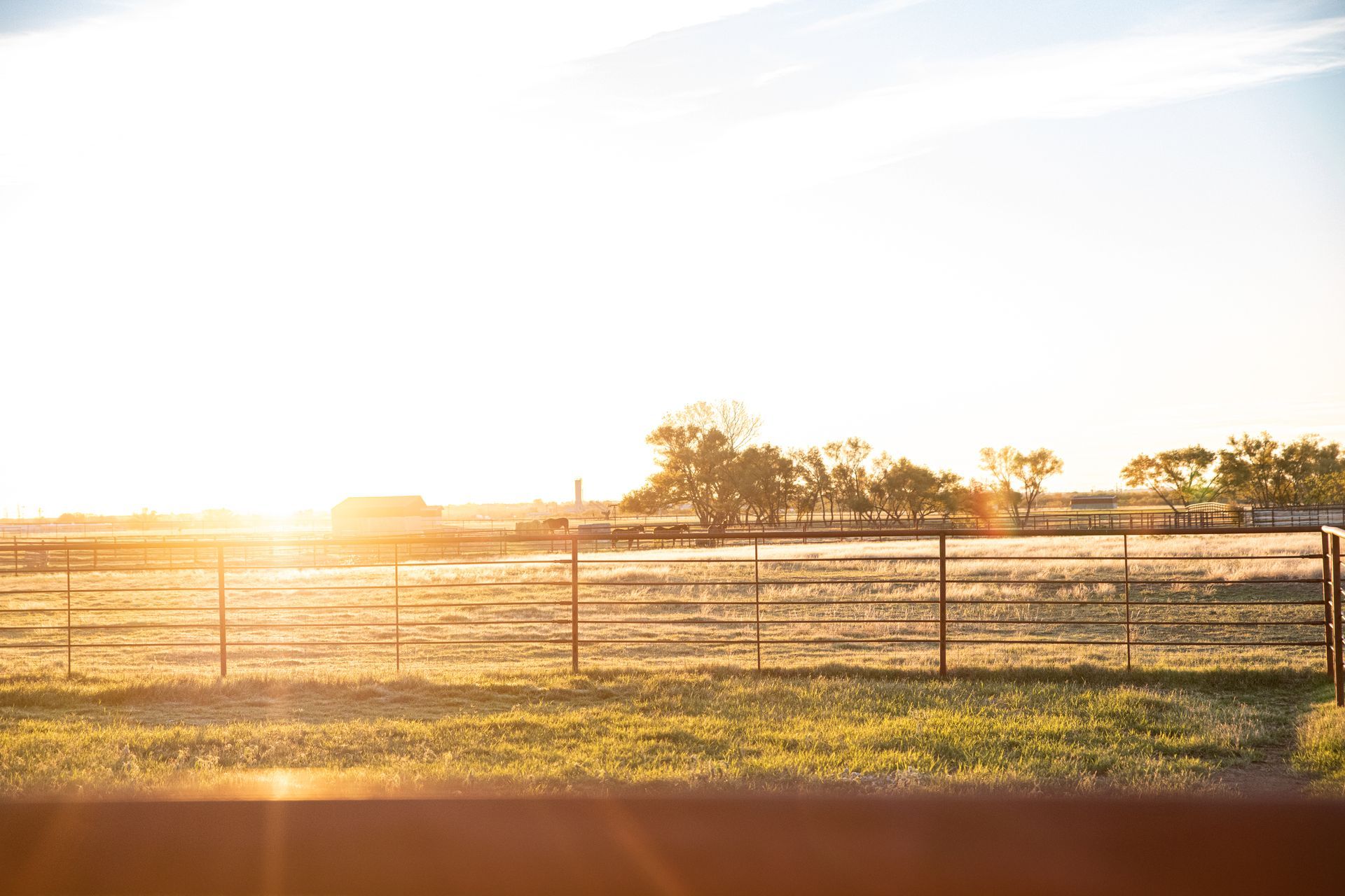 the sun is shining through a fence in a field at sunset .