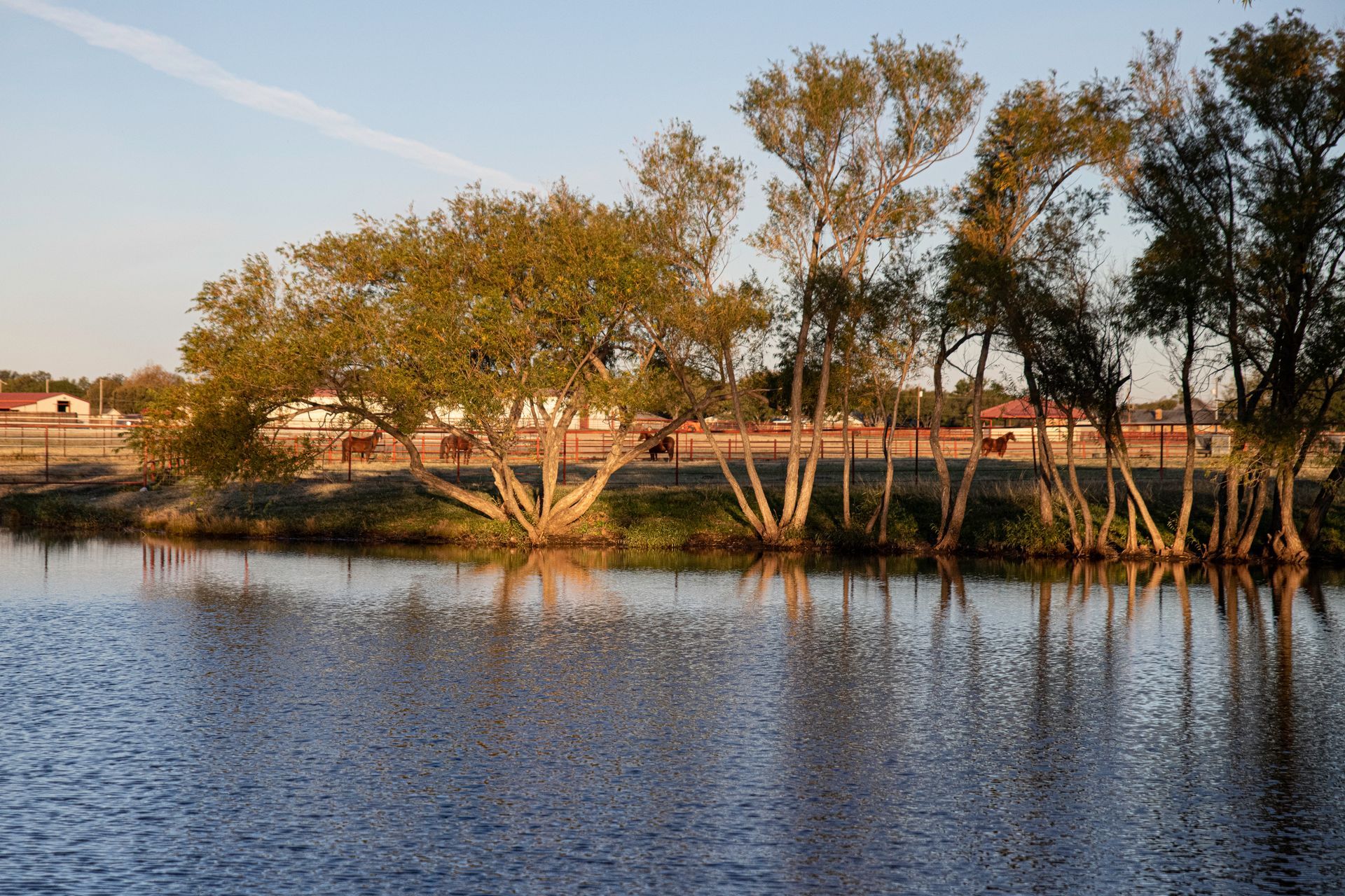 a lake with trees on the shore and houses in the background