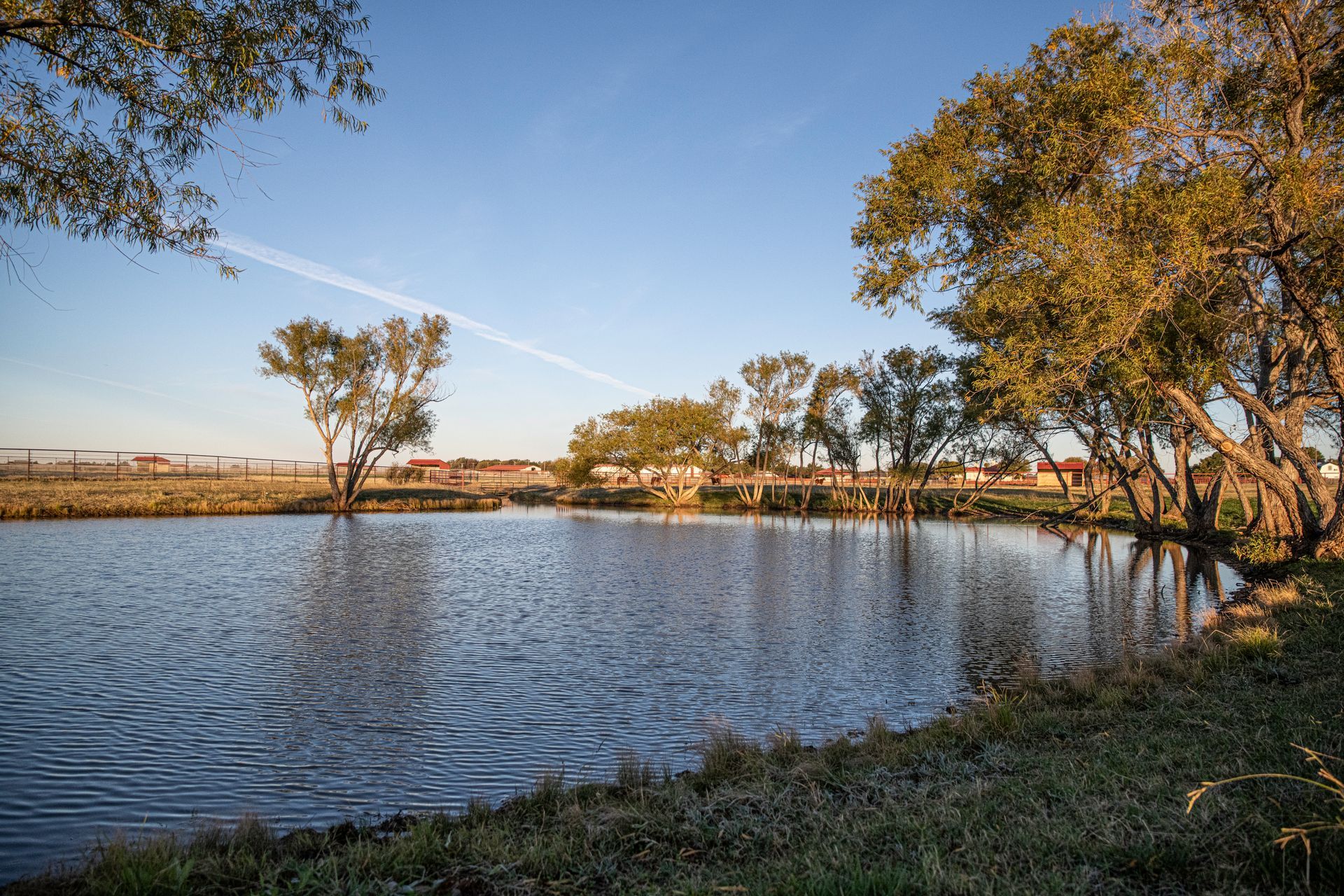 a large body of water surrounded by trees on a sunny day .