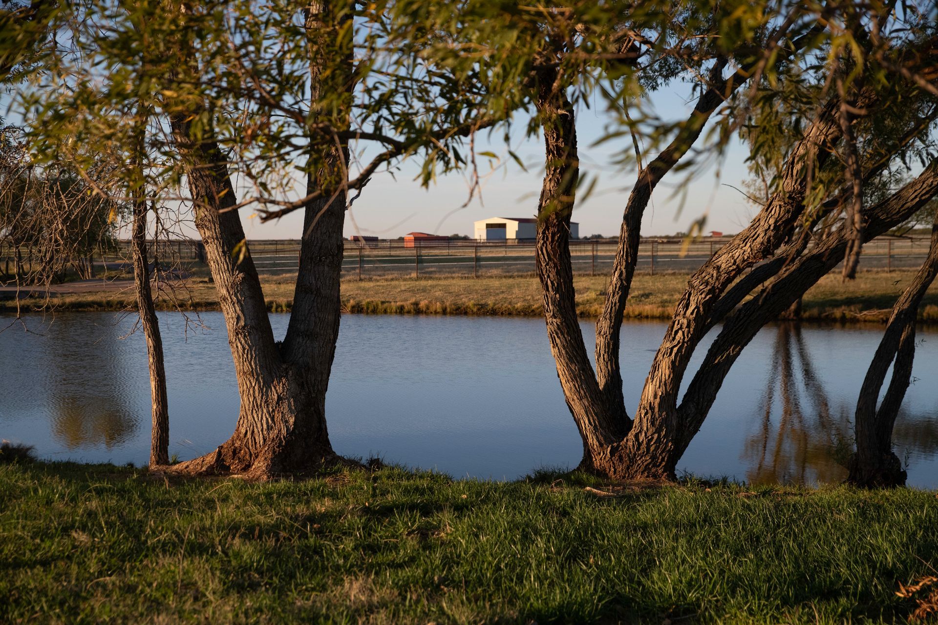 a lake with trees in the foreground and a barn in the background