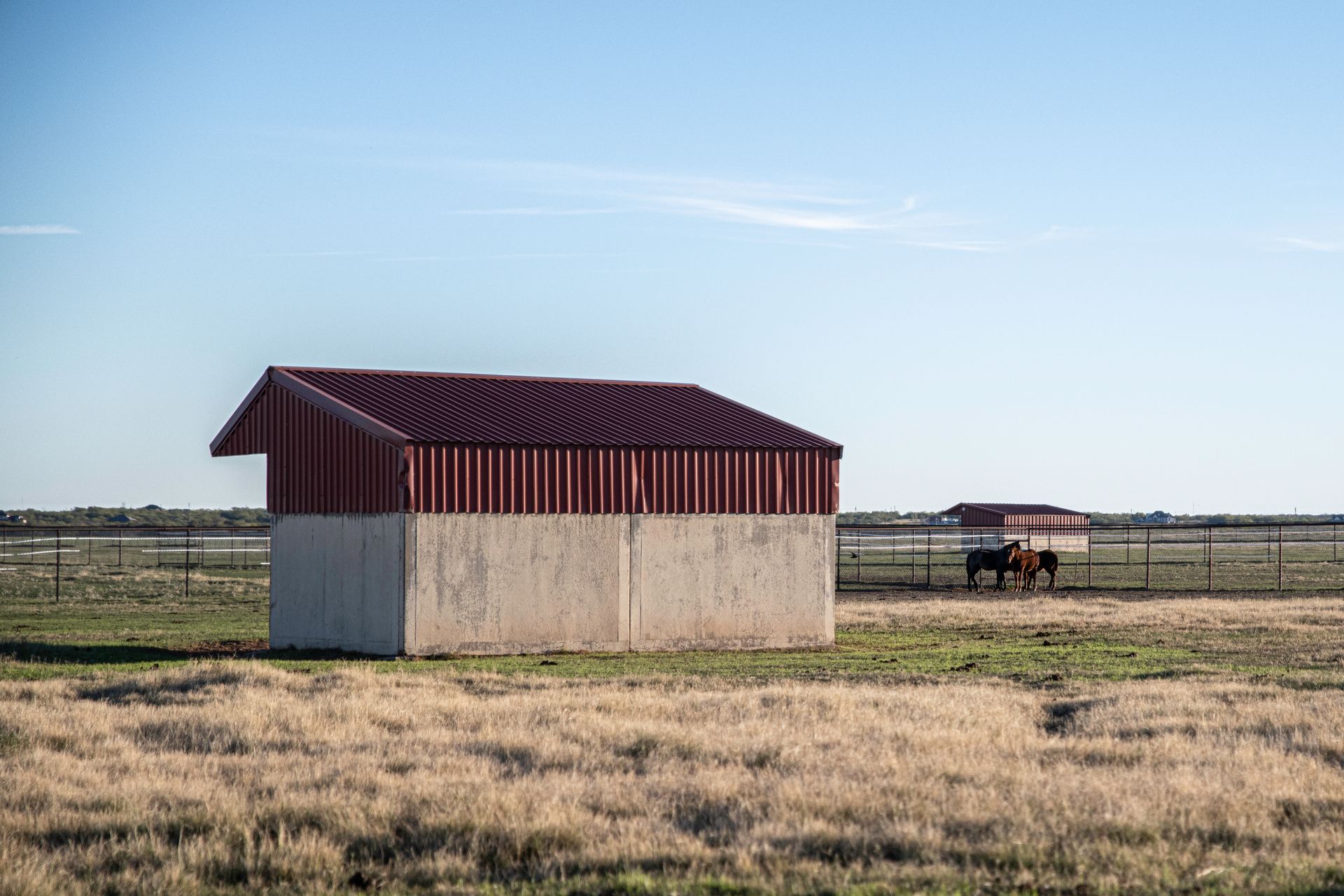 two horses are standing in a field next to a barn .