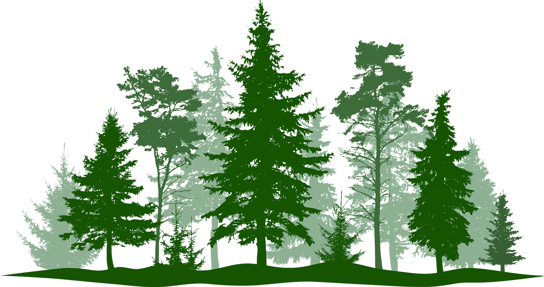 Trees — Chambersburg, PA — Falling Branch Tree Services LLC
