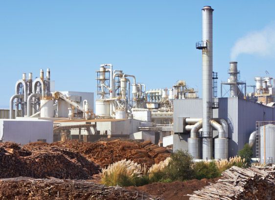 Pulp and Paper Industry Innovative Solutions for Wear, Process and Equipment