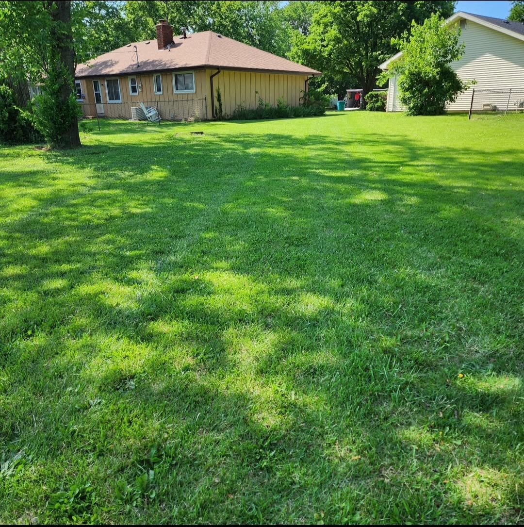 A lush green yard with a house in the background