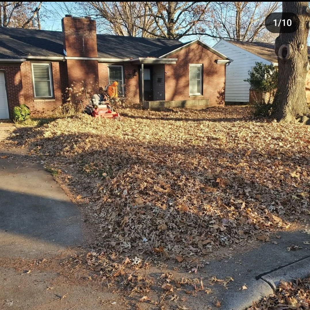 A house with a lot of leaves in front of it