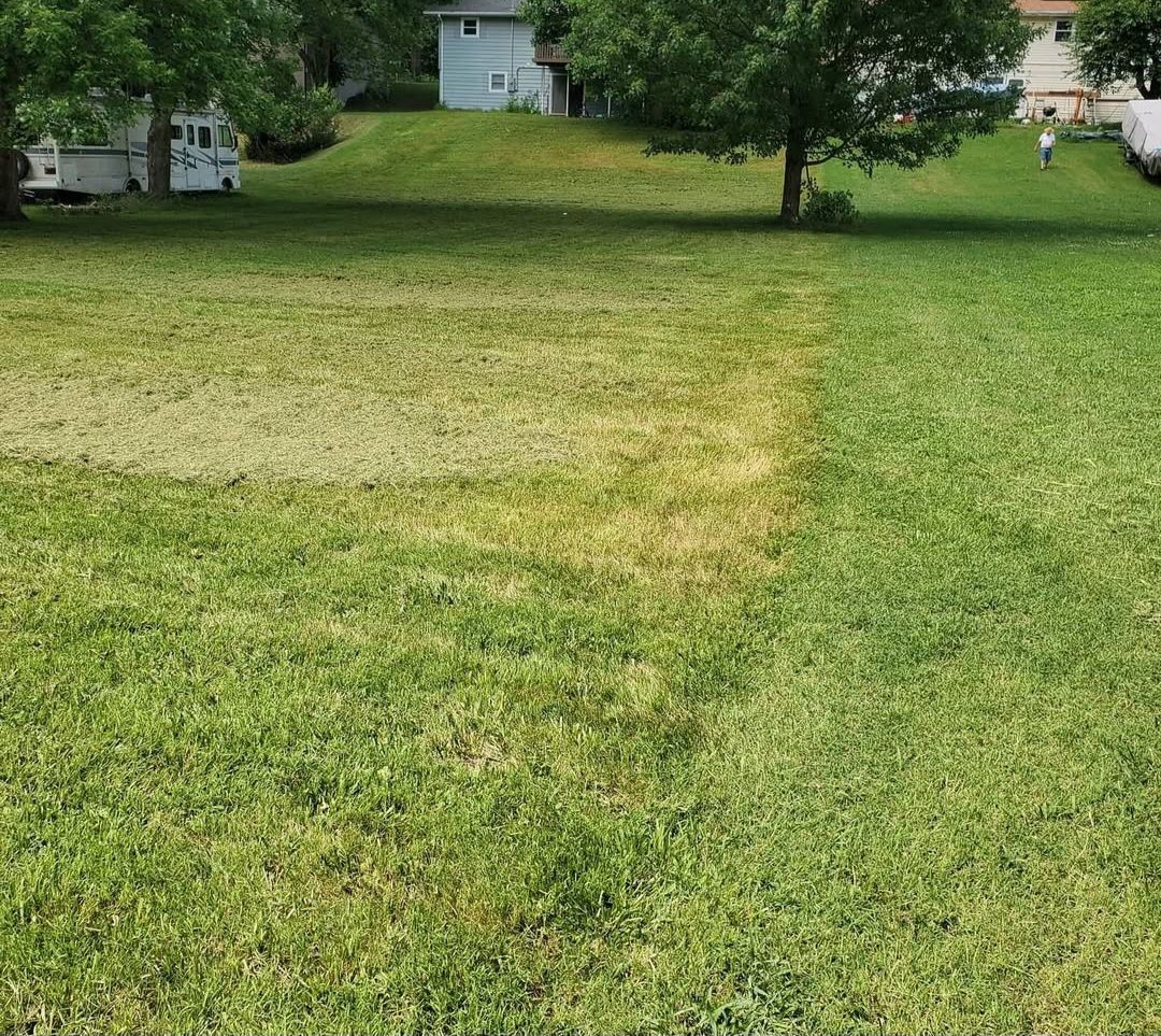 A lush green field with trees and a house in the background.