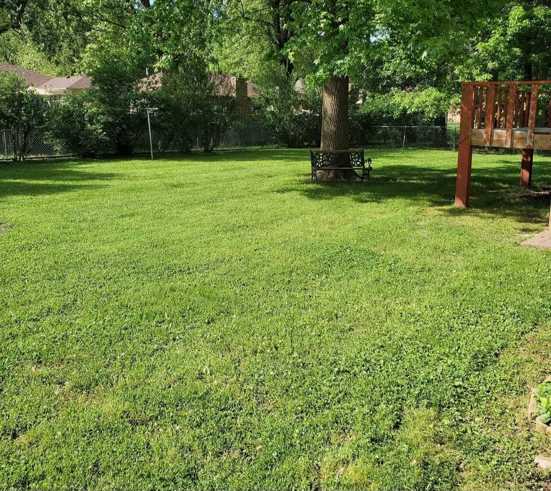 A large lush green lawn with a wooden bridge in the background.