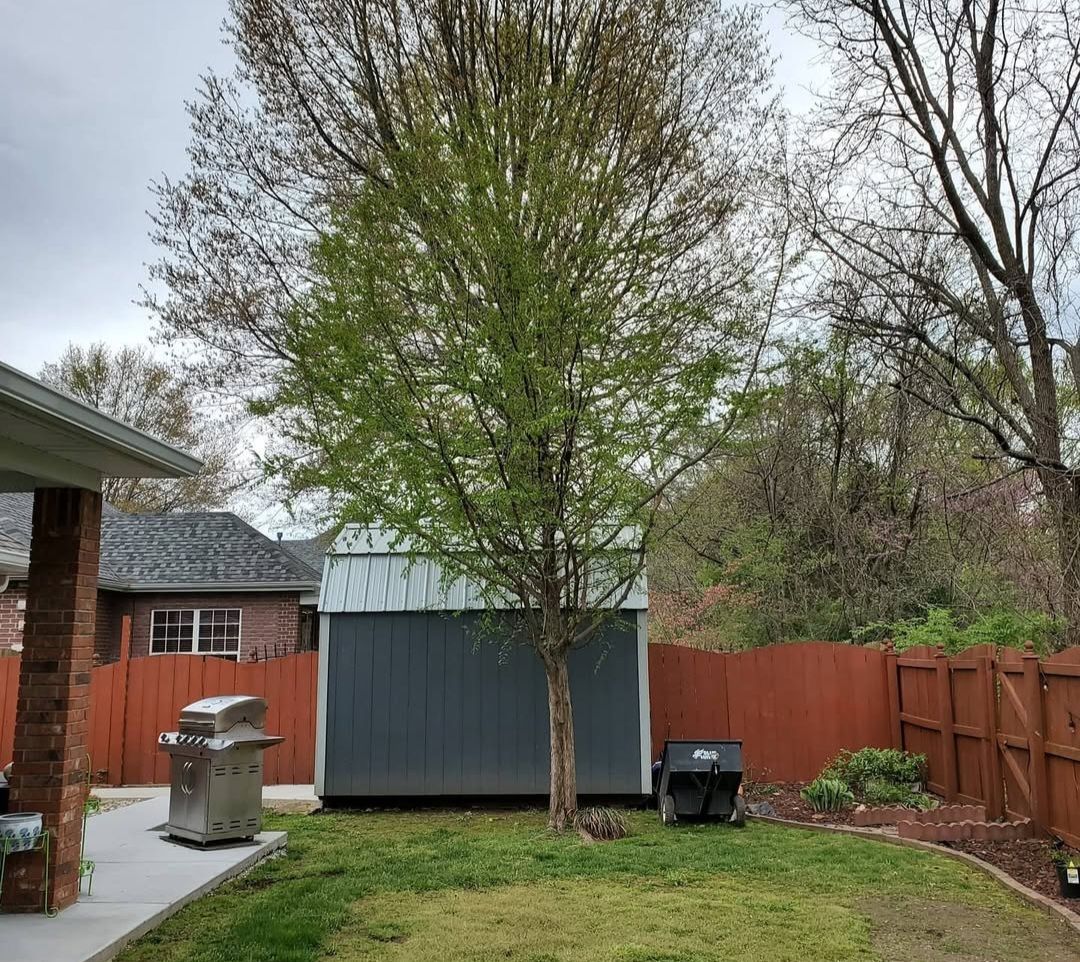 A backyard with a shed , a grill , and a tree.