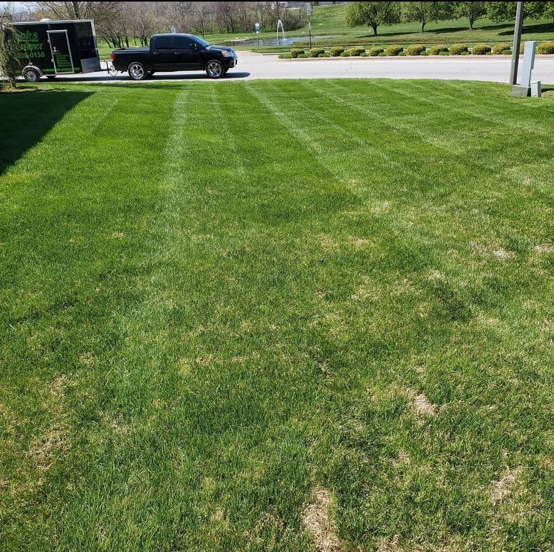 A lush green lawn with a truck parked in the background.