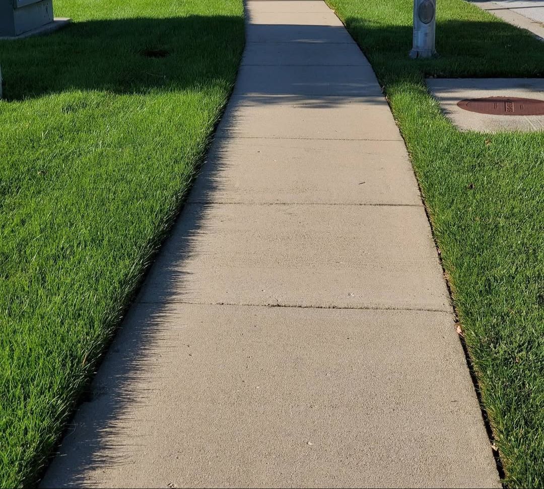 A sidewalk with grass on both sides of it