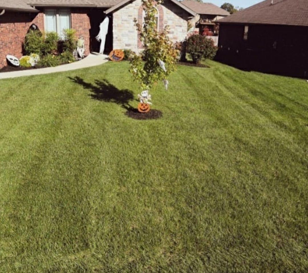 A lush green lawn with a tree in the middle of it