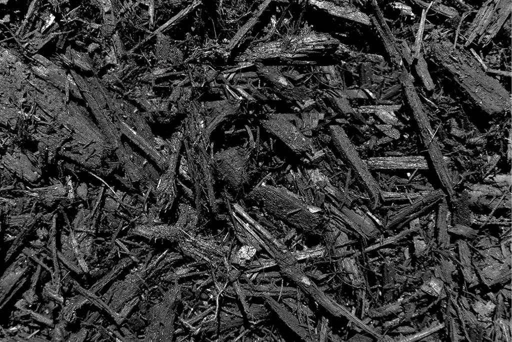 Black Mulch
