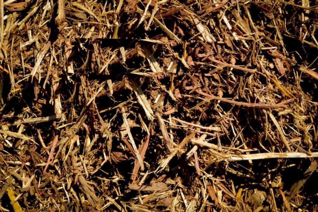 Cedar Mulch
