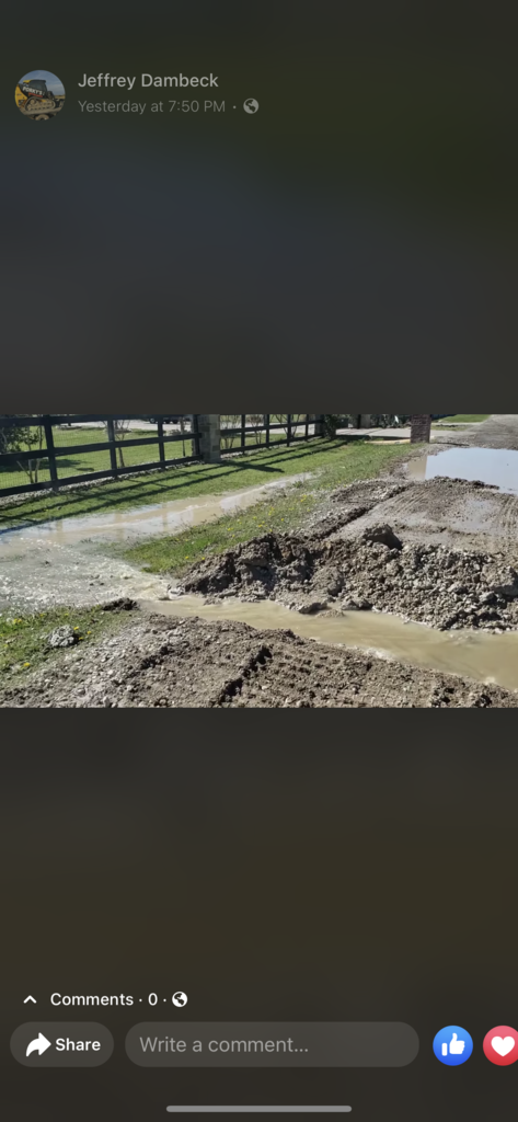 A group of ducks are standing in the mud on a sidewalk next to a body of water.