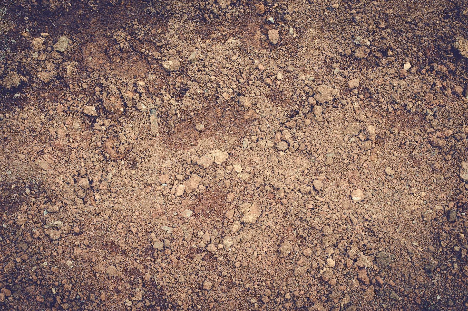 A close up of a pile of dirt on the ground.