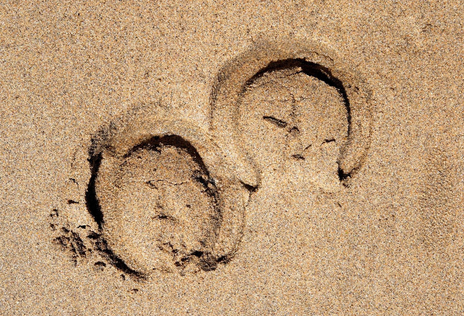Two horse hoof prints in the sand on a beach.