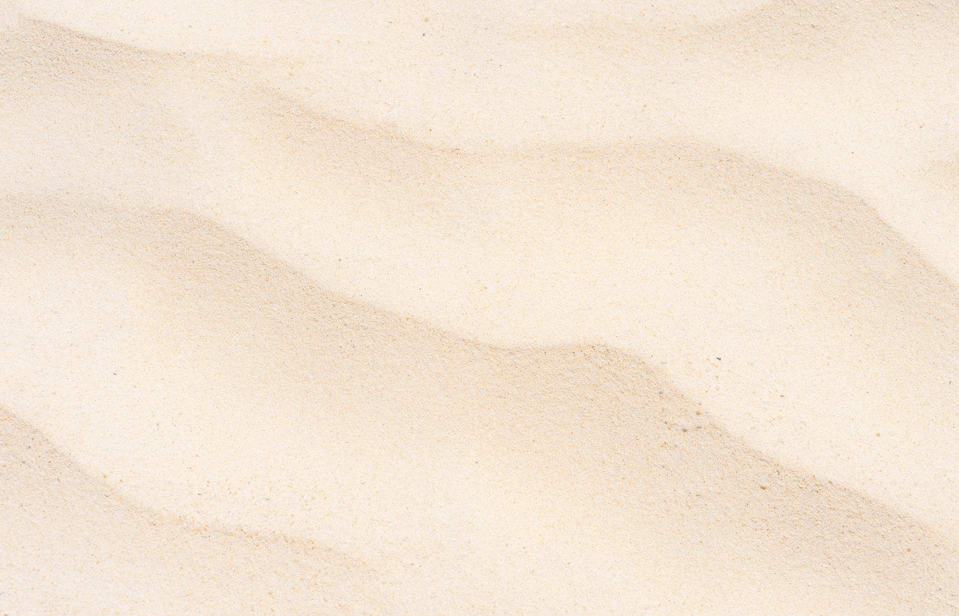 A close up of a pile of sand on a beach.