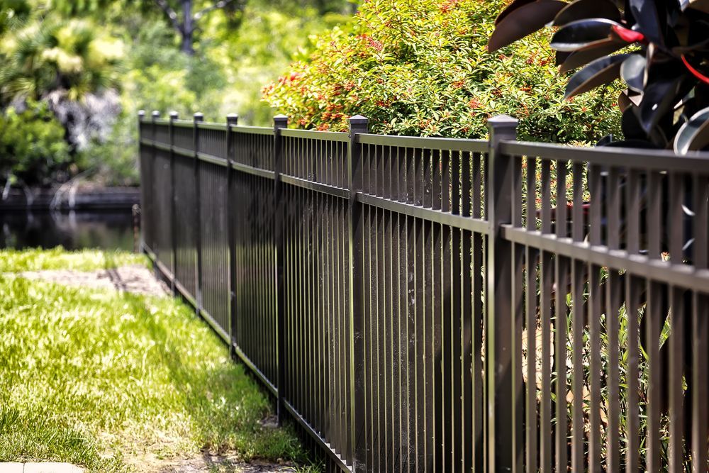 Black metal fence bordering a grassy area, with a pond and greenery in the background. — Douglass Blinds & Security Screens in Goulburn, NSW