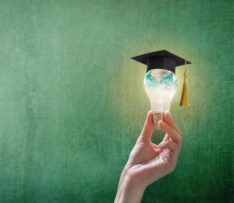 Comercializadora & Distriomega