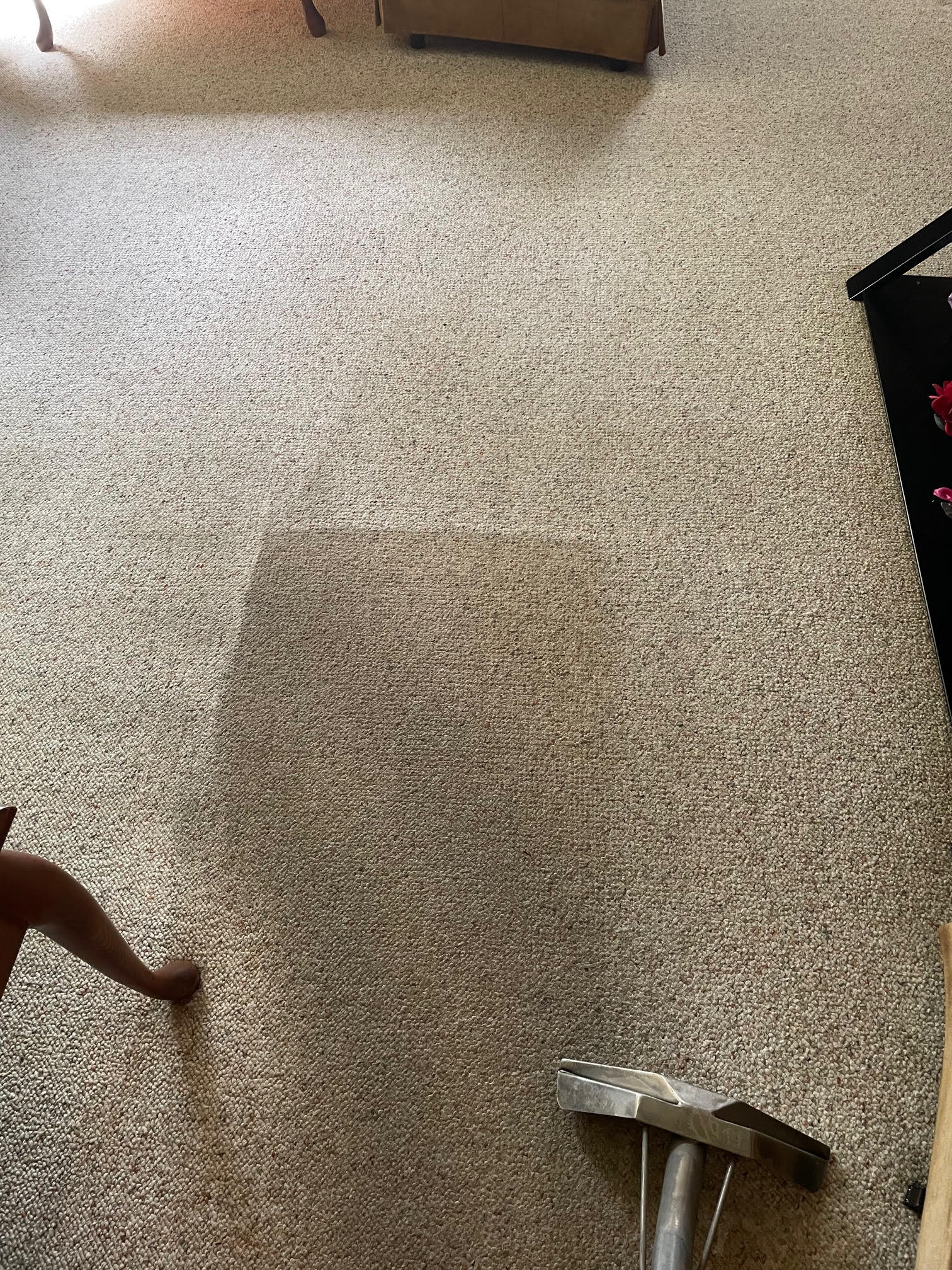 before and after carpet