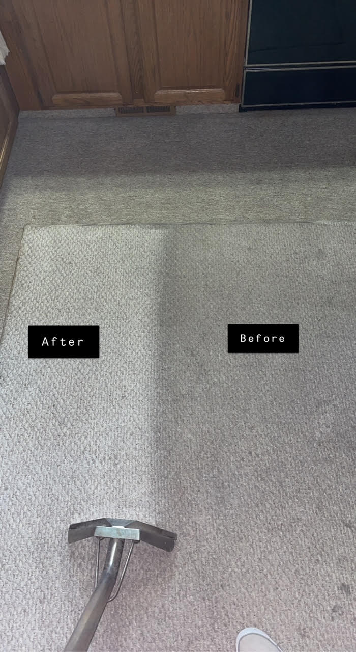 Before and after carpet and rug