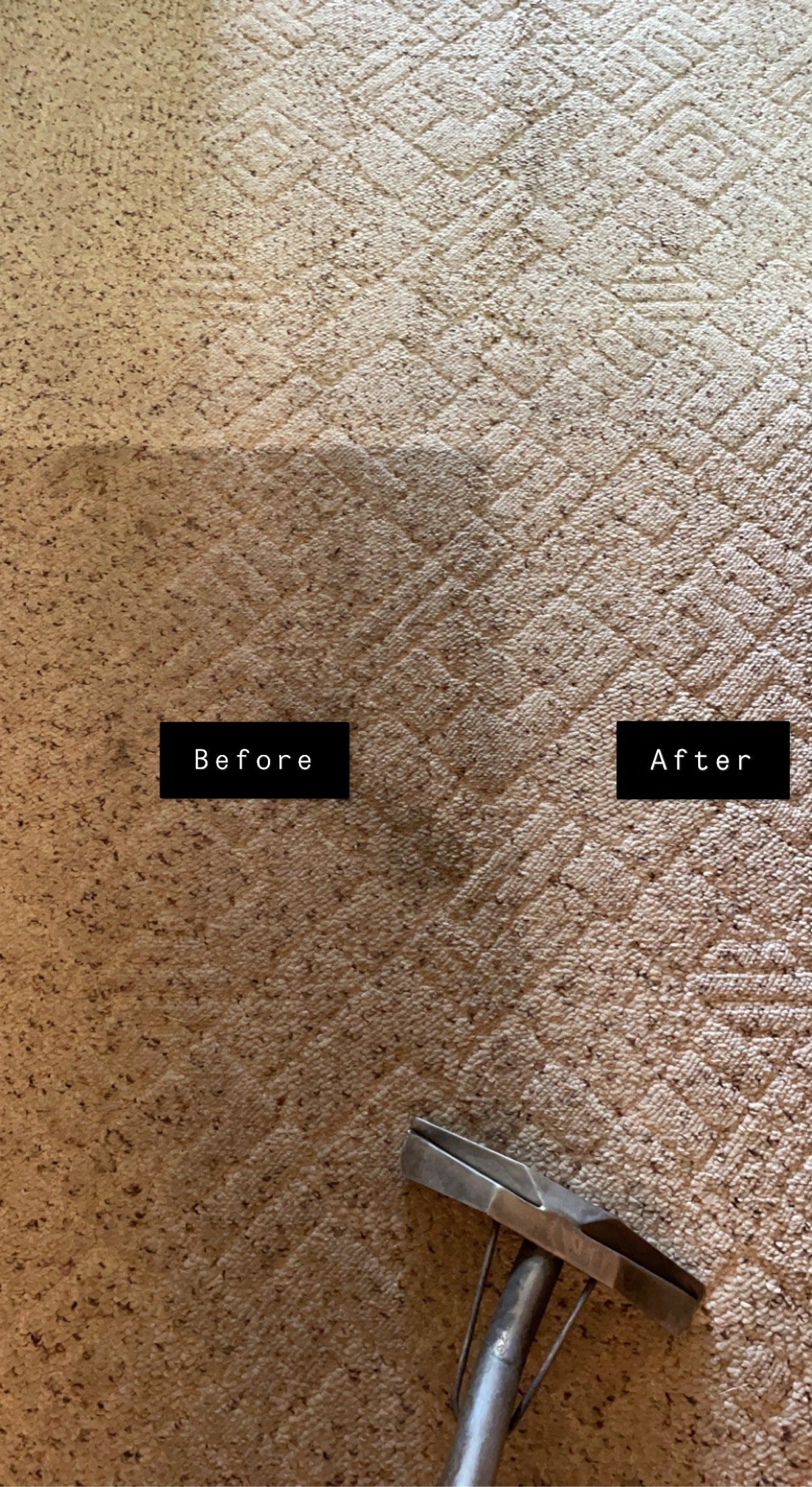 Carpet before and after