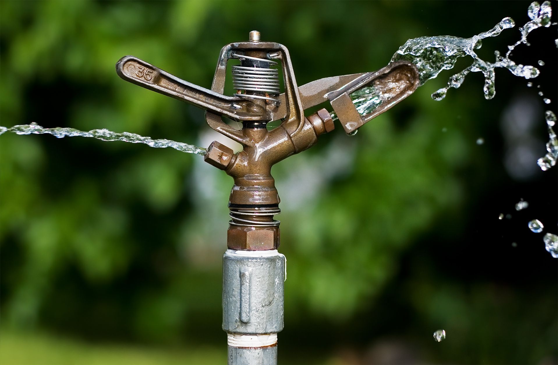 A sprinkler sprays water in a garden, with green foliage in the blurred background.