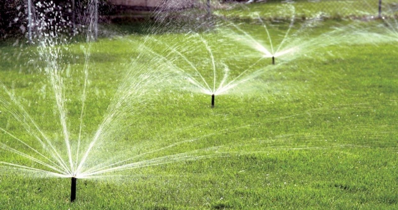 Lawn sprinklers spraying water on a green lawn.