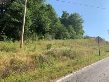 Grassy lot with trees in the background next to a road and a utility pole.