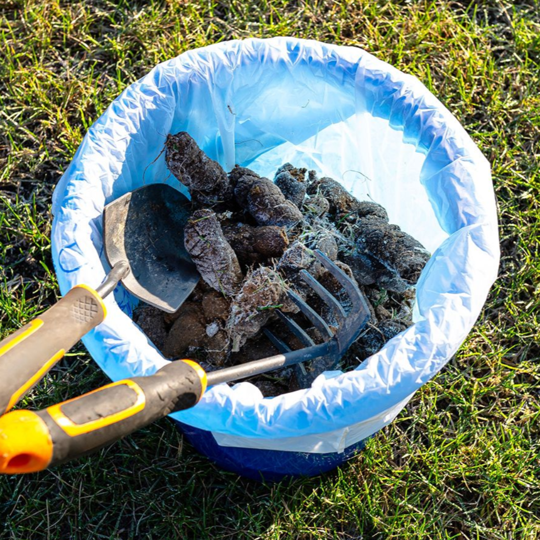 Blue trash bag filled with dog waste, small shovel, and rake on green grass.