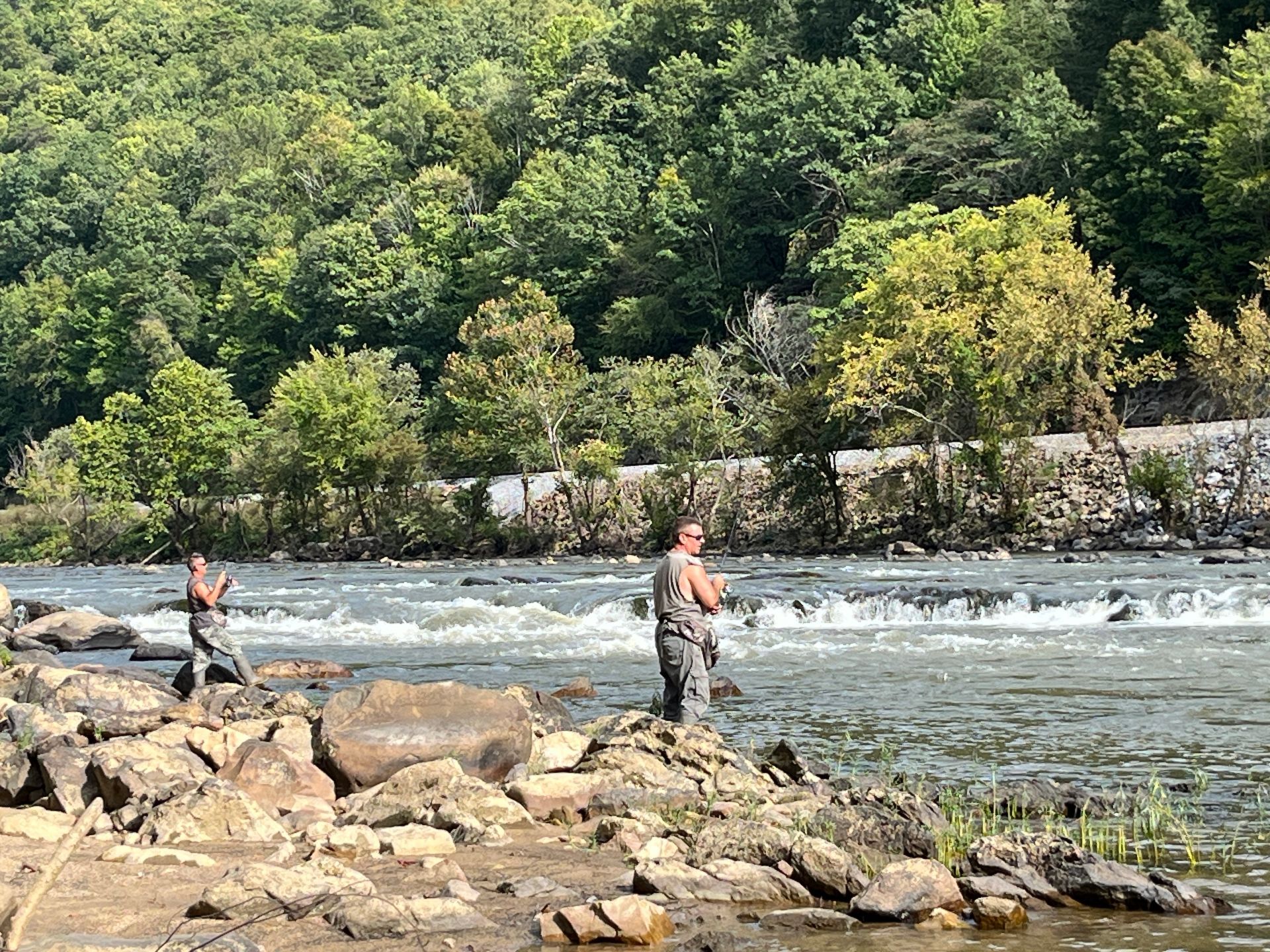 A vase of flowers is sitting on a table next to a window.