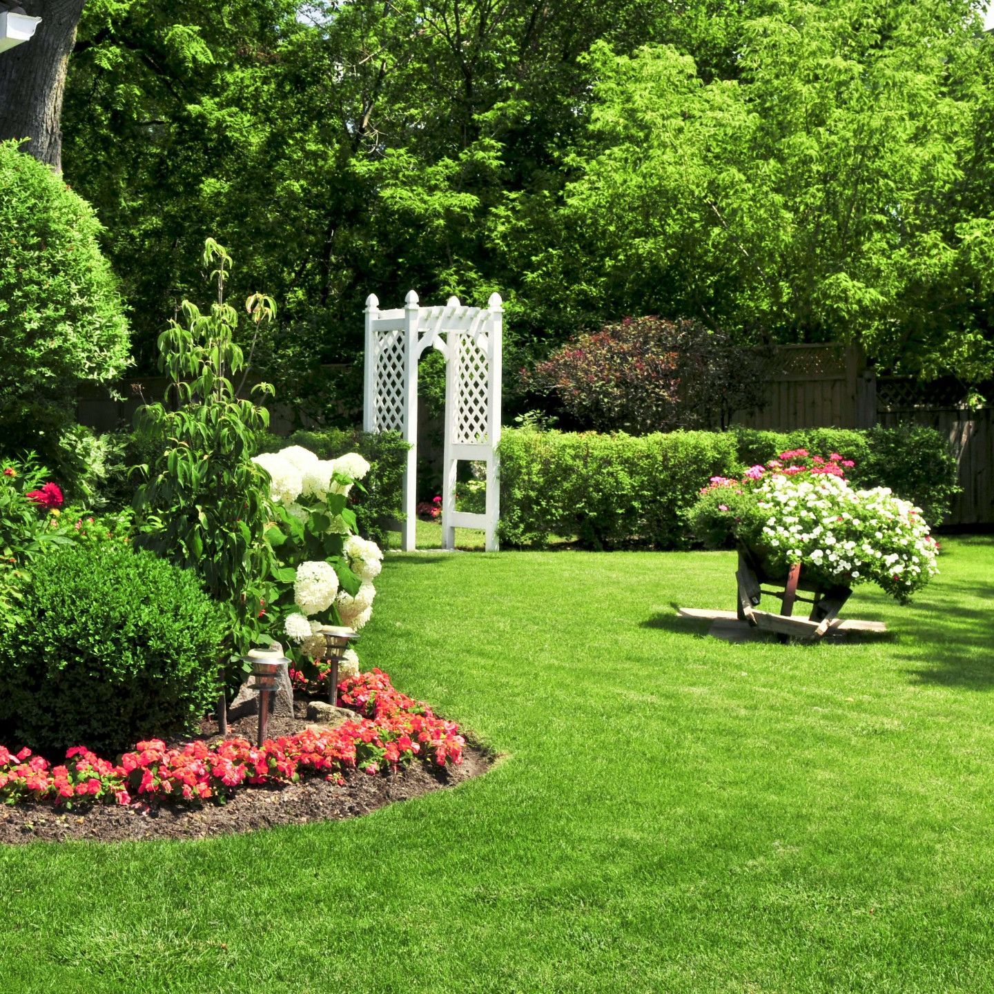 Lush green garden with white latticework arch, vibrant flowers, and neatly trimmed shrubs under a bright sky.